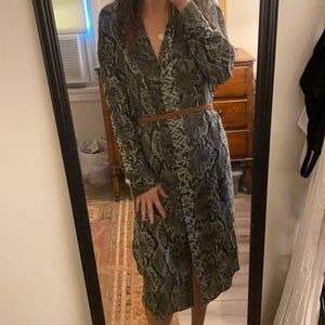 H&M Green Snake ButtonUp Midi Dress